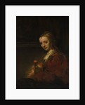 Woman with a Pink, early 1660s by Rembrandt Harmensz van Rijn