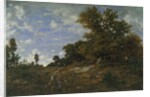 The Edge of the Woods at Monts-Girard, Fontainebleau Forest, 1852-54 by Theodore Rousseau