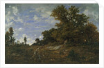 The Edge of the Woods at Monts-Girard, Fontainebleau Forest, 1852-54 by Theodore Rousseau