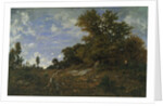 The Edge of the Woods at Monts-Girard, Fontainebleau Forest, 1852-54 by Theodore Rousseau