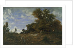 The Edge of the Woods at Monts-Girard, Fontainebleau Forest, 1852-54 by Theodore Rousseau