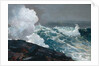 Northeaster, 1895; reworked by 1901 by Winslow Homer