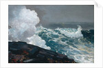 Northeaster, 1895; reworked by 1901 by Winslow Homer