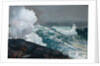 Northeaster, 1895; reworked by 1901 by Winslow Homer