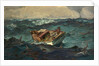 The Gulf Stream, 1899 by Winslow Homer