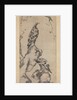 Two eagles, dated 1702 by Bada Shanren