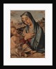 Madonna Adoring the Child by Bartolomeo Montagna