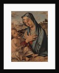 Madonna Adoring the Child by Bartolomeo Montagna