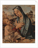 Madonna Adoring the Child by Bartolomeo Montagna