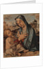 Madonna Adoring the Child by Bartolomeo Montagna