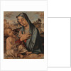 Madonna Adoring the Child by Bartolomeo Montagna