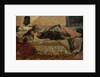 Odalisque by Jean Joseph Benjamin Constant