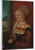 Portrait of a Woman, ca. 1510-15 by Bernhard Strigel