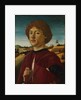 Portrait of a Young Man, probably ca. 1470 by Biagio d'Antonio