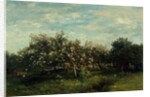 Apple Blossoms, 1873 by Charles Francois Daubigny