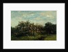 Apple Blossoms, 1873 by Charles Francois Daubigny