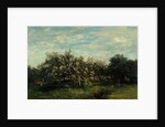 Apple Blossoms, 1873 by Charles Francois Daubigny