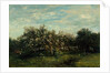 Apple Blossoms, 1873 by Charles Francois Daubigny