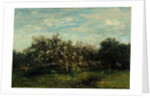 Apple Blossoms, 1873 by Charles Francois Daubigny