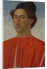 Portrait of a Man, ca. 1481-82 by Cosimo Rosselli