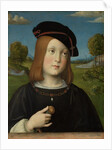 Federico Gonzaga, 1510 by Francesco Francia