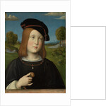 Federico Gonzaga, 1510 by Francesco Francia