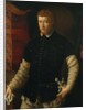 Portrait of a Man by Francesco Salviati