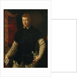 Portrait of a Man by Francesco Salviati