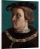 Portrait of a Man Wearing the Order of the Annunziata of Savoy by French Painter