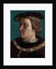 Portrait of a Man Wearing the Order of the Annunziata of Savoy by French Painter
