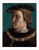 Portrait of a Man Wearing the Order of the Annunziata of Savoy by French Painter