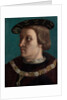 Portrait of a Man Wearing the Order of the Annunziata of Savoy by French Painter