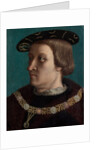 Portrait of a Man Wearing the Order of the Annunziata of Savoy by French Painter