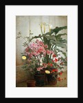 Side of a Greenhouse, 1870-80 by George Cochran Lambdin