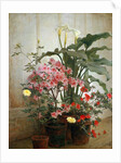 Side of a Greenhouse, 1870-80 by George Cochran Lambdin
