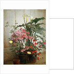 Side of a Greenhouse, 1870-80 by George Cochran Lambdin