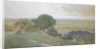 Olive Trees at Tivoli, 1873 by George Inness