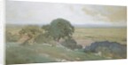 Olive Trees at Tivoli, 1873 by George Inness