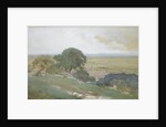 Olive Trees at Tivoli, 1873 by George Inness