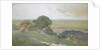 Olive Trees at Tivoli, 1873 by George Inness