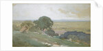 Olive Trees at Tivoli, 1873 by George Inness