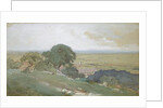 Olive Trees at Tivoli, 1873 by George Inness