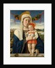 Madonna and Child, ca. 1470 by Giovanni Bellini