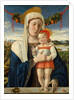 Madonna and Child, ca. 1470 by Giovanni Bellini