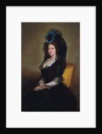 Narcisa Baranana de Goicoechea by Francisco Goya