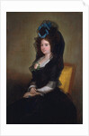 Narcisa Baranana de Goicoechea by Francisco Goya