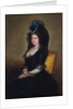 Narcisa Baranana de Goicoechea by Francisco Goya