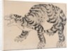 Tiger, 19th century by Hokusai School