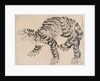 Tiger, 19th century by Hokusai School