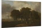 Hautbois Common, Norfolk, probably ca. 1810 by John Crome
